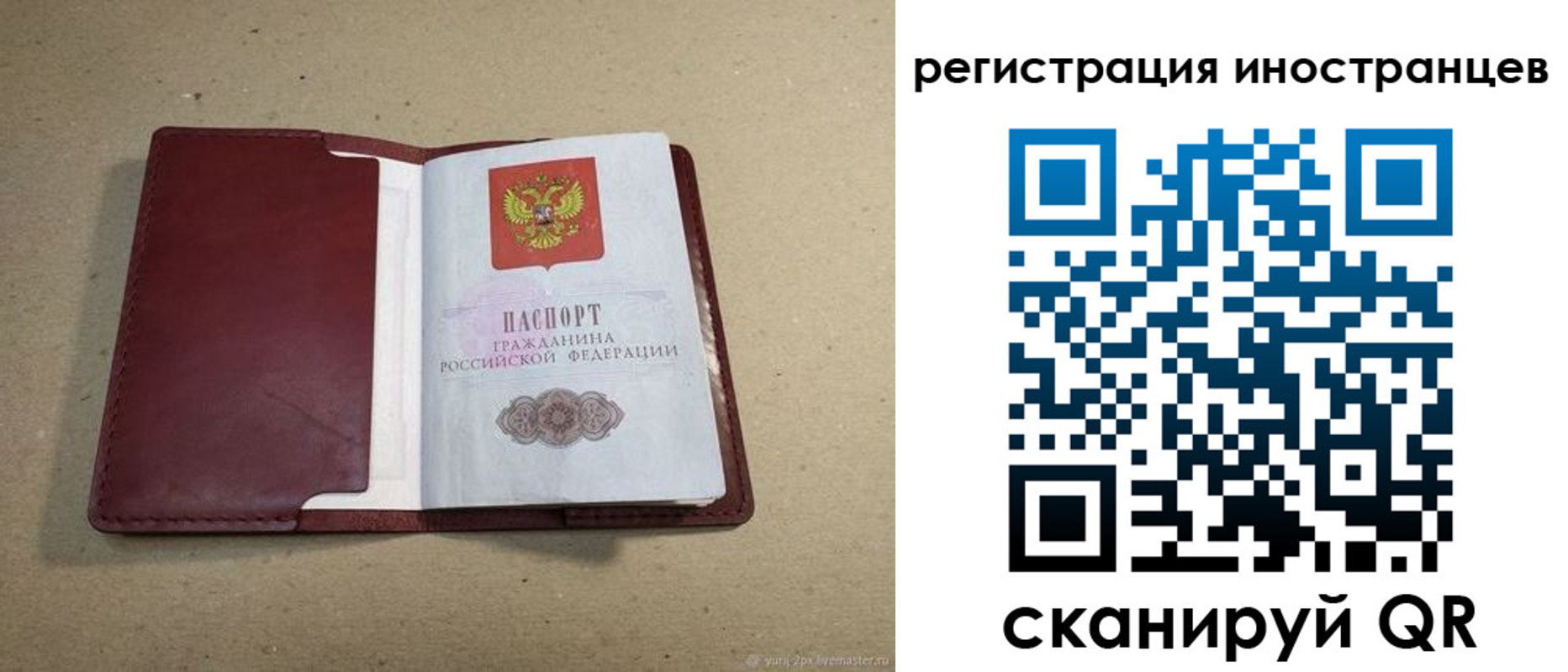 регистрация для школы в Шадринске